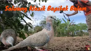 Download Saluang Klasik Bapikek Balam MP3