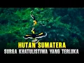 Lagu HUTAN SUMATERA ‼️SURGA KHATULISTIWA YANG TERNODAI