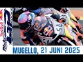 Download Lagu Full RACE 1 Rookies Cup Mugelo...Veda Pratama Pemenangnya #race #live #motorcycle #sports #redbull