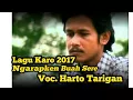 Harto Tarigan lagu Karo || Bagi Ngarapken Buah Sere Lirik