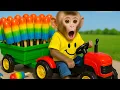 Download Lagu Monyet Lily mengendarai mobil merah muda untuk berbelanja dan memasak di rumah! | Lily Indonesian MP3