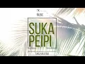 TK Music - Suka Peipi (Audio)