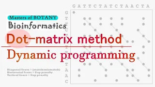 Bioinformatics Dot Matrix Method and Dynamic Programming Sequence Alignment