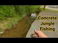 Download Lagu Surprised by Urban Ditch Fishing!!
