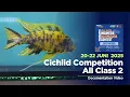 Download Lagu NUSATIC 2025 | kontes ikan Cichlid | ini nih ikan yang buat kontes di kelas ikan Cichlid