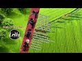 Download Lagu Letto -  Senyumanmu (Best Of The Best)