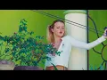 Download Lagu Joalin - Mis Sueños (Official Video)