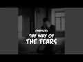 Download Lagu The Way Of The Tears Muffled