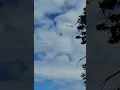 Aircraft over SoHum Fire