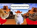 The Cowboy Cats sing Cotton Eye Joe Gegagedigedagedag