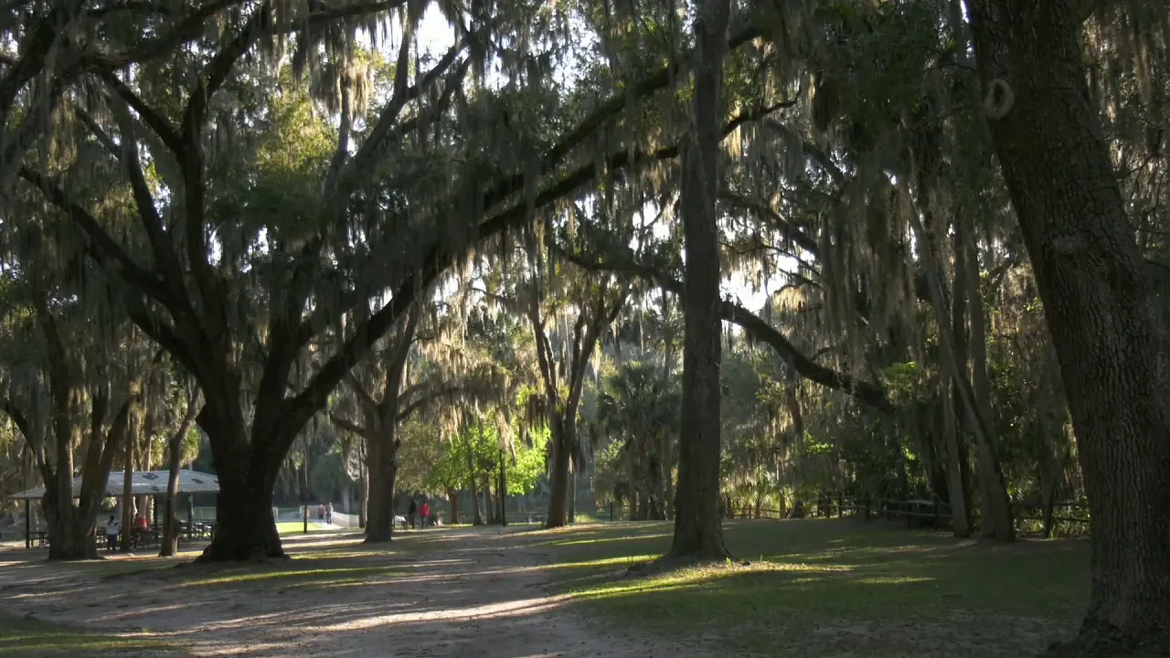 Gemini Spring, DeBary FL. 3/1/20