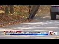 City of Raleigh weighing changes to loose leaf collection program