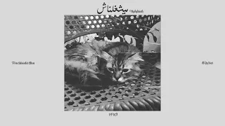                       ڤينشي   ميشغلناش دندنها