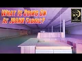 What Is Going On At JOANN Fabric and Crafts Retail Archaeology