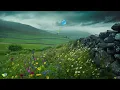 Just Rain For Sleeping | Peaceful Celtic Rain | 10 Hour, No Ads