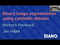 Binary image segmentation using synthetic dataset