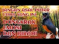 Lagu pancingan murai batu agar emosi bongkar isian 