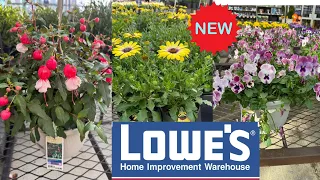 LOWES BEST NEW PLANTS ARRIVALS CLEARANCE FOR SPRING HOW TO MAKE YOUR GARDEN BEAUTIFUL