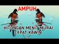 Download Lagu Pancingan murai batu kawin suara jernih