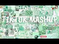 Lagu Tiktok Mashup February 💚2025💚 (Not Clean)