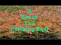 A Bonus Fall Clothing Haul anaccidentalretiree-tammye3425
