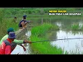 Download Lagu Seperti Ini Jadinya Kalau Hujan Terus,,Ikan nya Kabur Kesawah²