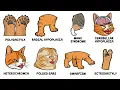 Every Strange Cat Deformity Explained