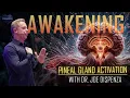 The Awakening - Journey to the Pineal Gland with Joe Dispenza