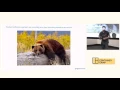 Reproducible Data Science with Docker Containers - Ben Hamner
