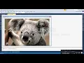 Using OpenFileDialog PictureBox and Menu Strip in Visual Basic