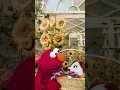 Elmo s Easter Egg Hunt
