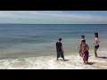 Sharks at Tobay Beach