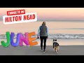 TOP Things To Do In Hilton Head Island This Summer June Vacation Guide