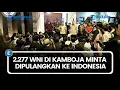 Lagu Terus Bertambah, 2.277 WNI di Kamboja Minta Dipulangkan ke Indonesia
