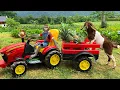 Download Lagu Bim Bim takes the goat to harvest pineapples and goes market sell | full version