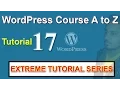 Sahifa Home Page Builder WP Skills Development Tutorial - 17