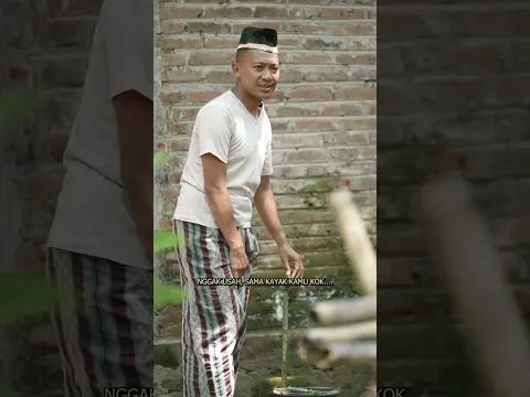 Hewan peliharaan