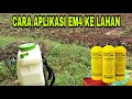 Lagu cara aplikasi em4 pertanian ke lahan