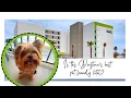Best Pet Friendly Hotel in Daytona Beach Area