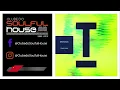 GW Harrison - Feels Good (Extended Mix)