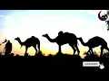 Download Lagu assala tu assala moalaika yaa rasul alla | islamic gaan | ekanto valobasha | faizul islam