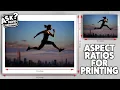 Aspect Ratios for Printing Ask David Bergman