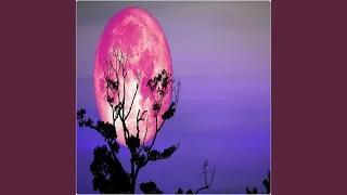 بدى يحبني دندنها