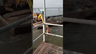 مهرجان  الاسم دبابه  أنا لما غبت يومين نصبولي احسن عزاء تيتو  بندق مسلم  أنا كافي لوحدو محمد طه دندنها