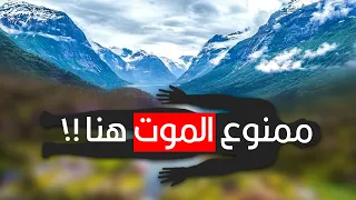ليه الموت غير قانوني في المدينة دي  دندنها