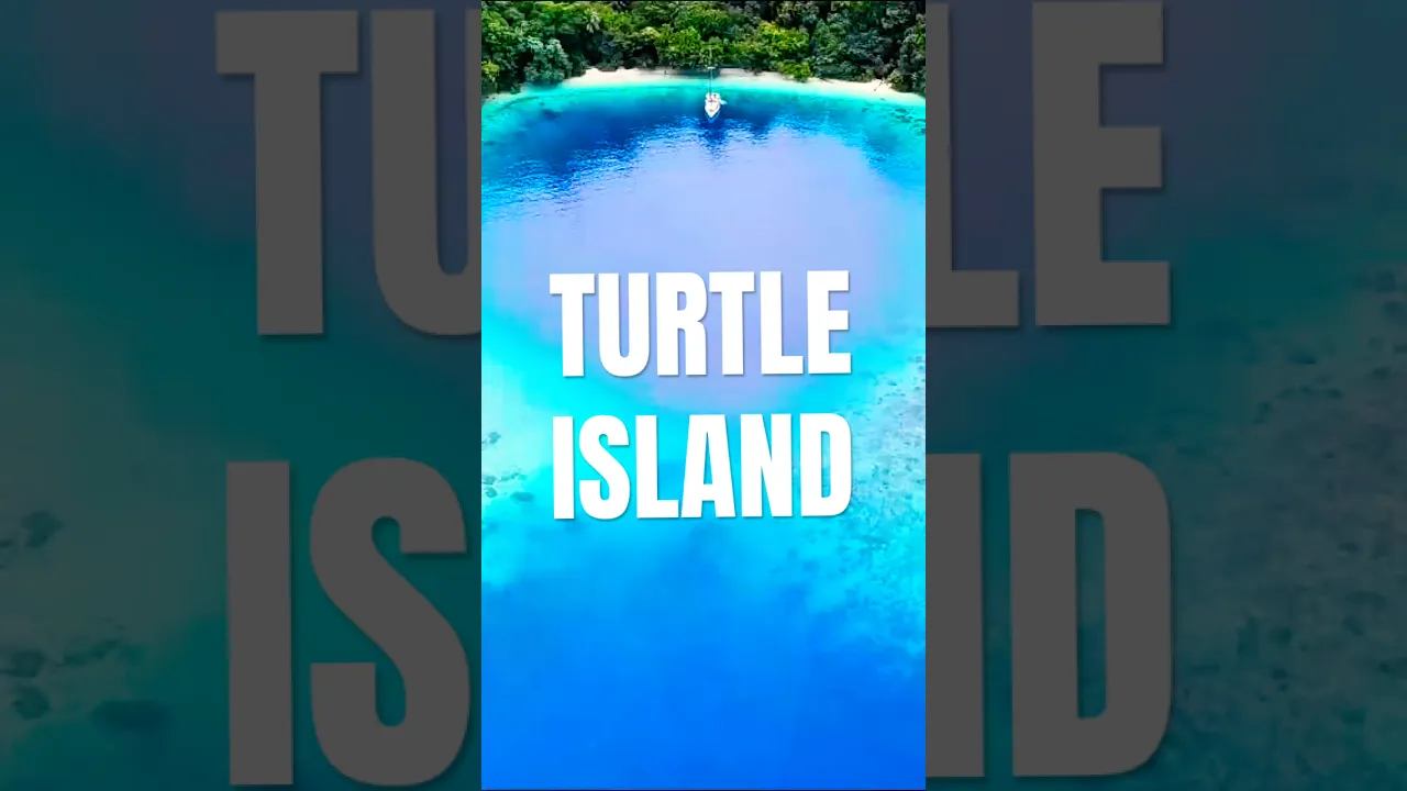 Turtle Island 🐢  Hidden Lagoon, Turtle Mating Rituals & Drone + Underwater Footage!