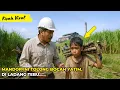 Download Lagu VIRAL ! Mandor Ini Menolong Anak Yatim pekerja di Ladang Tebu... Tak Disangka Ini yang Terjadi...!