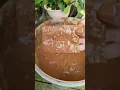 Best Oddly Satisfying | MIXAGRIP flu \u0026 batuk #oddlysatisfying #trending #viral #shorts