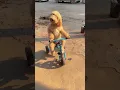 Download Lagu Aw Aw Aw 😳  #dog #dogsdaily
