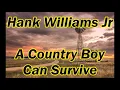 Hank Williams Jr - A Country Boy Can Survive (Lyrics on screen)